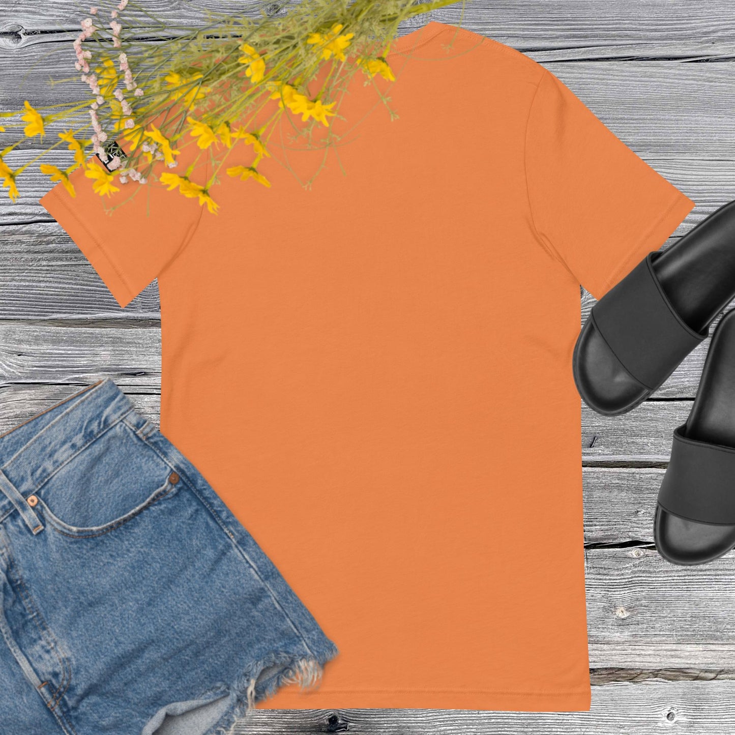 Laws of Emotion Unisex t-shirt